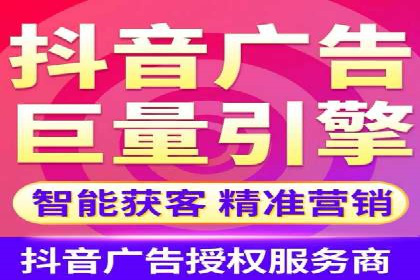 信息流广告代理项目案例分析